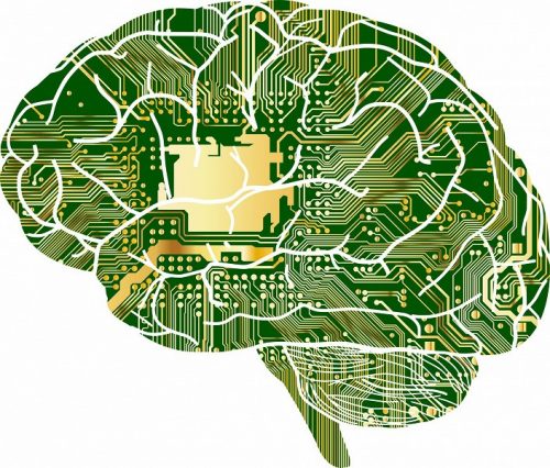 Квантовый компьютер в голове: учёные полагают, что человеческое сознание для работы использует квантовые эффекты.